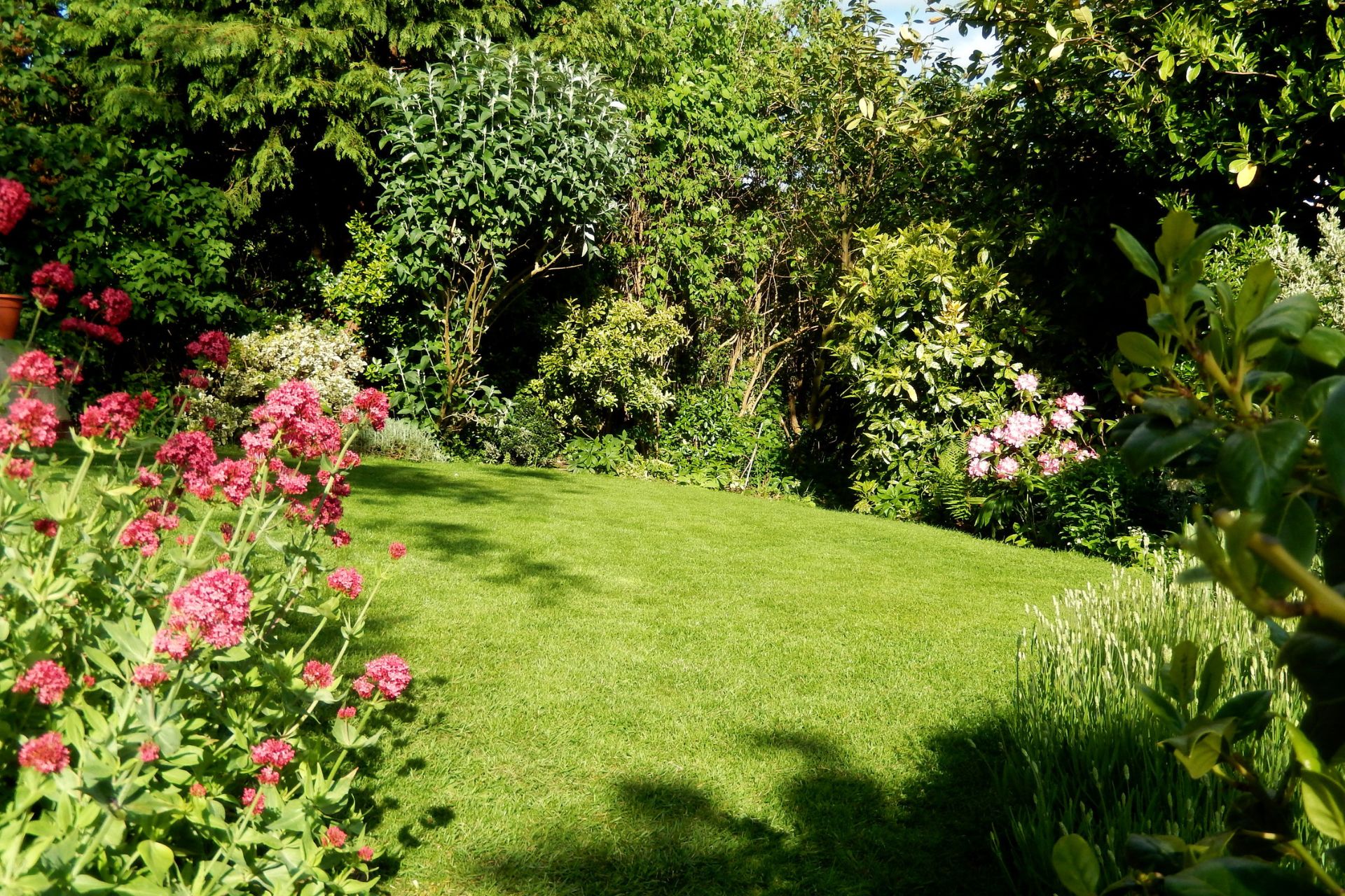 Jardin avec pelouse verte bien entretenue, massifs de fleurs roses et arbustes en arrière-plan