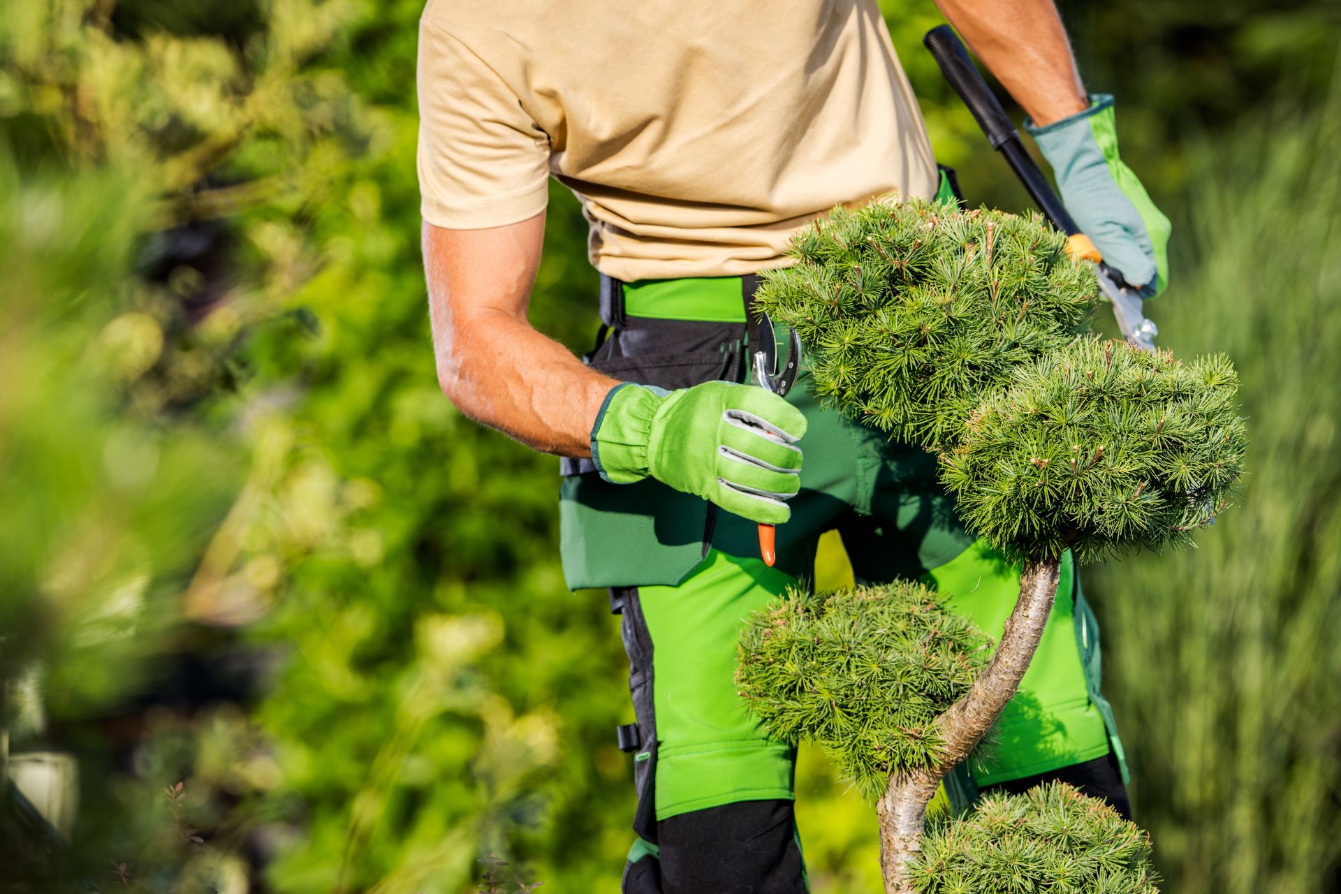 Jardinier professionnel en tenue verte et gants de protection taillant un arbuste d'ornement dans un jardin