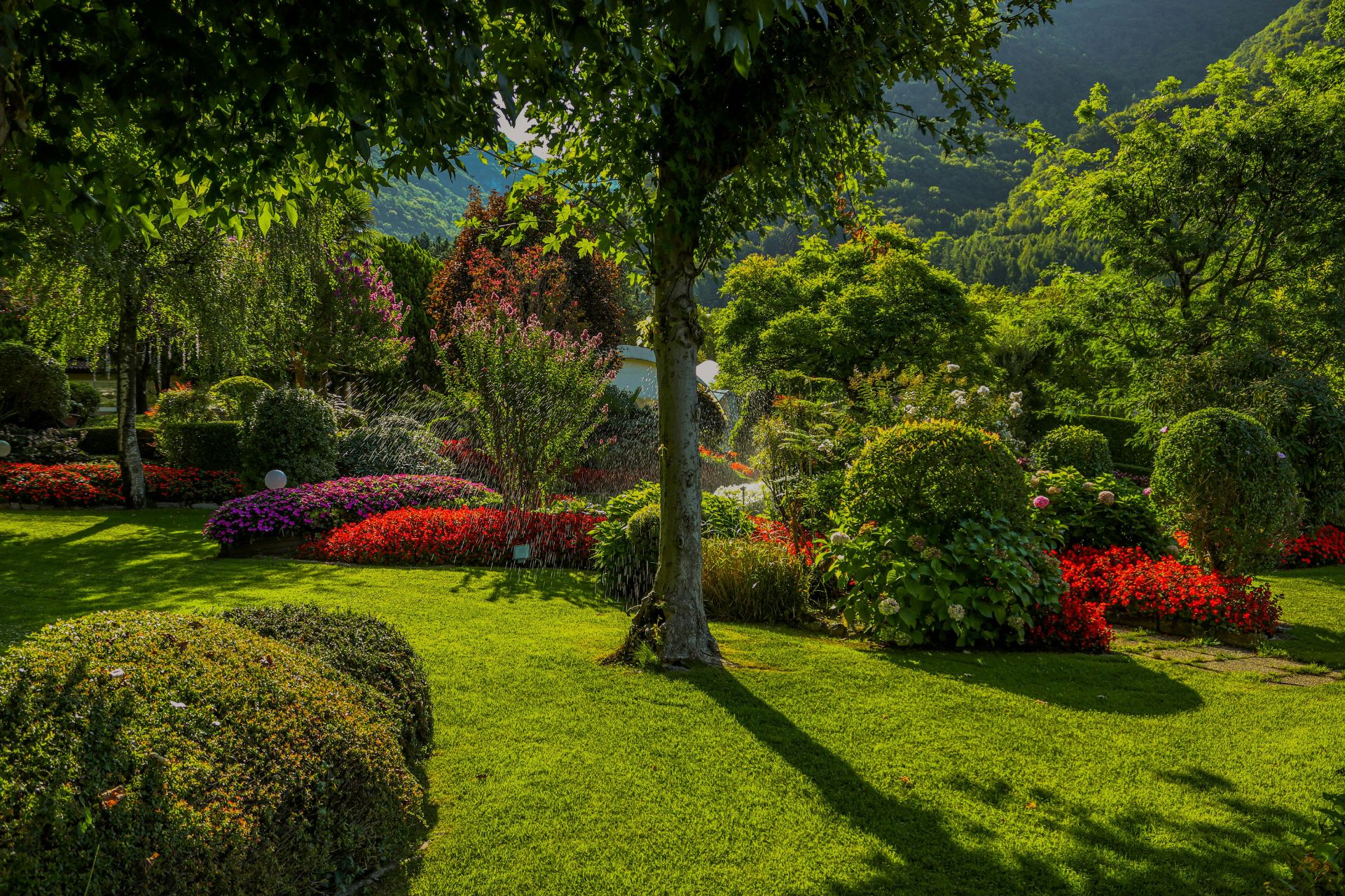 Jardin paysager avec pelouse verte, arbres, haies taillées et massifs de fleurs rouges et violettes en montagne